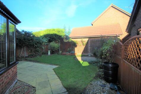 Back garden