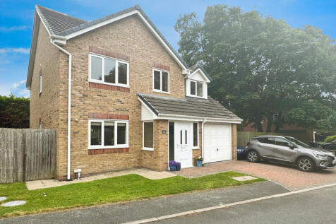 Property Image 28