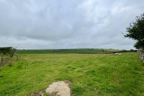 Field