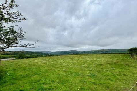 Field