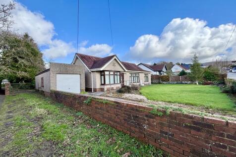 Driveway and detached garage 