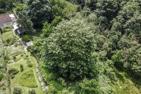 DJI_0258-Edit