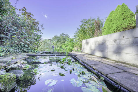 JWP_0202-Edit