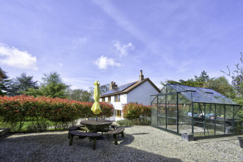 garden 4