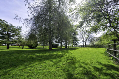 Garden 2