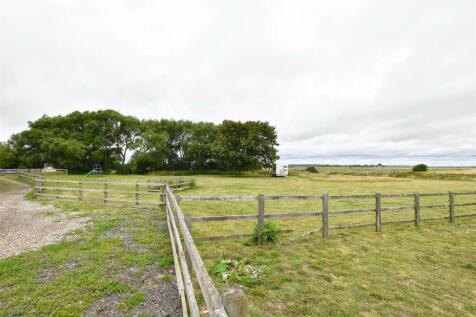 DSC_0157.jpg