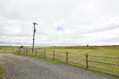 DSC_0155.jpg