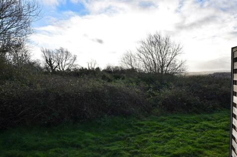 DSC_0081.jpg