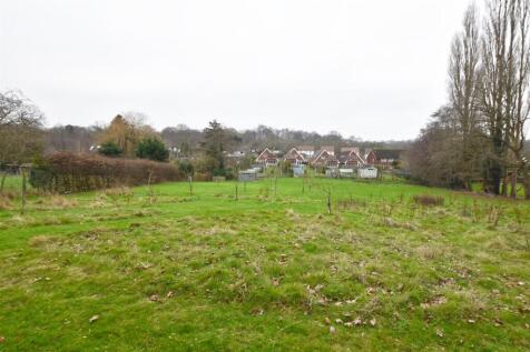 DSC_0333.jpg