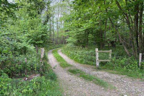 chestnut wood 4.jpg