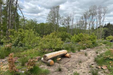 chestnut Wood 1.jpg