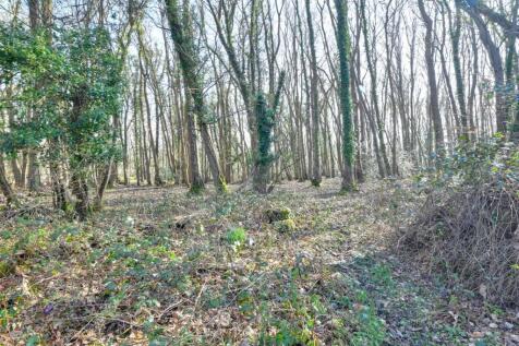 Woodland Beyond Property
