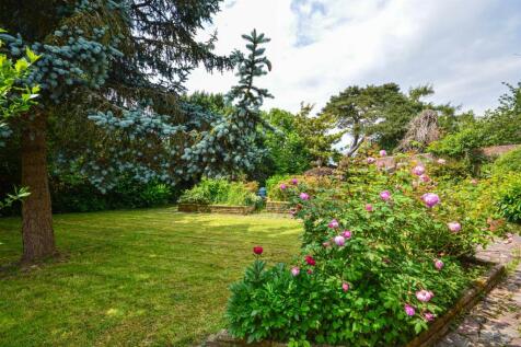 Property Image 33