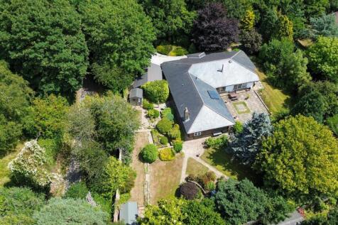 DJI_0129.jpg