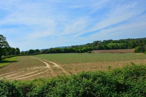 DSC_0861.jpg