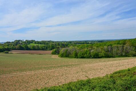 DSC_0913.jpg