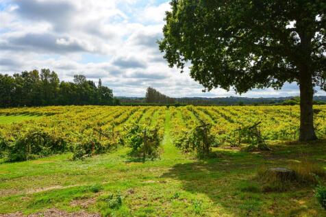 Surrounding vineyard