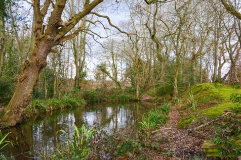 Pond
