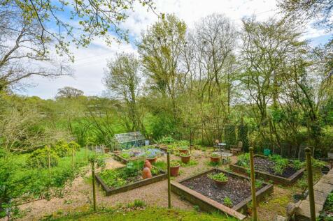 Kitchen garden