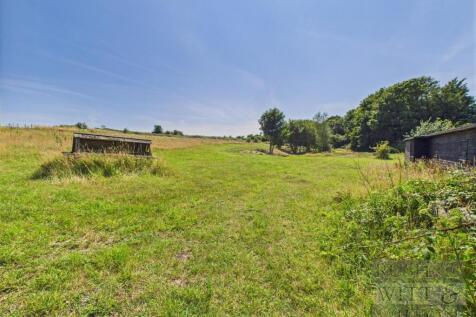CAM05455G0-PR0031-STILL012.jpg