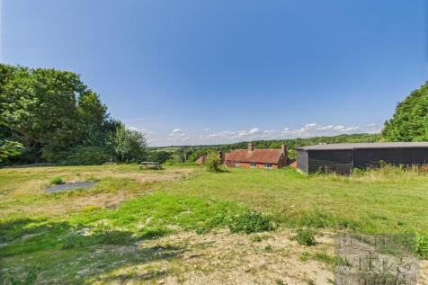 CAM05455G0-PR0031-STILL013.jpg