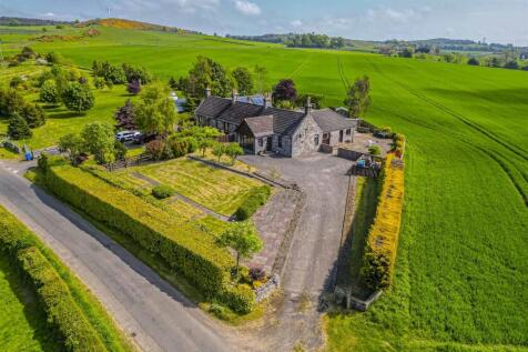 DJI_0833.jpg