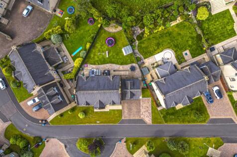 DJI_0221.jpg