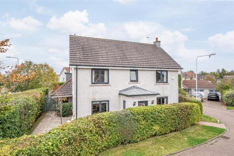 untitled (1 of 1).JPG