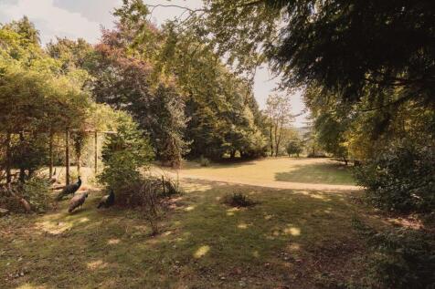 Property Image 21