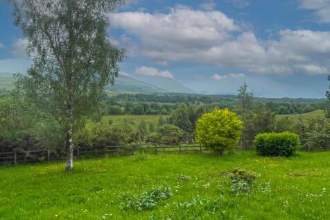 Property Image 54