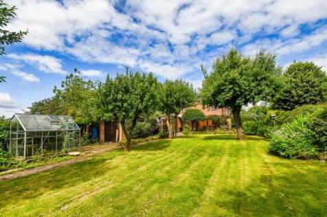 4 Beamish Lane - Garden.jpg