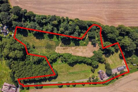 Lizard Mill-drone2.jpg