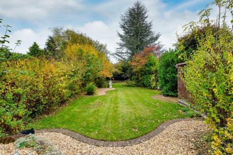 77 Woodland Road-garden3.jpg
