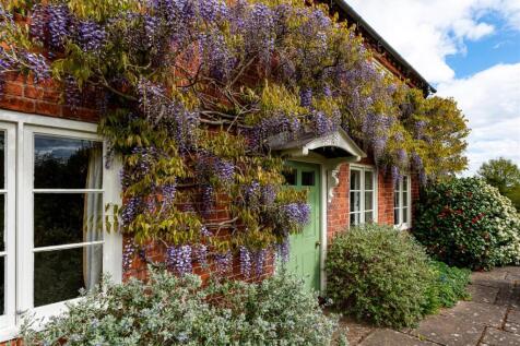 Upper Lea-whisteria3 APR25.jpg