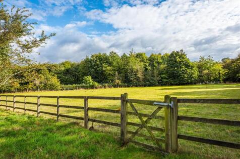 Upper Lea-paddock.jpg