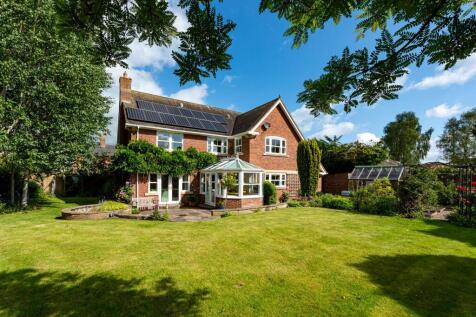 20 Cross Road-garden7.jpg