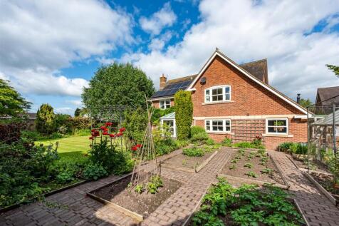 20 Cross Road-garden3.jpg