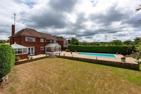 49 Sabrina Road-garden6.jpg