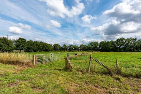 Orchard View-21.jpg