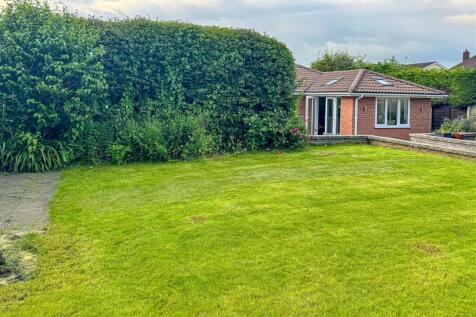 1 The Drive-clients-1.jpg