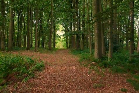 High Clear Barn-44.jpg