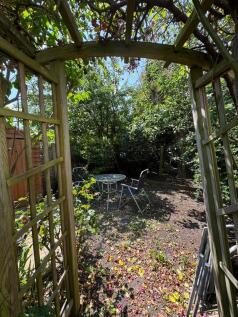 Back Garden