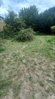 Communal Garden