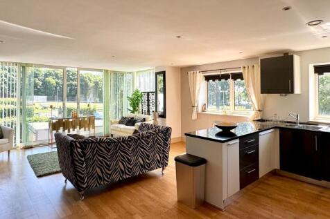 Lounge/Dining/Kitchen