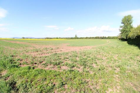 field.jpg