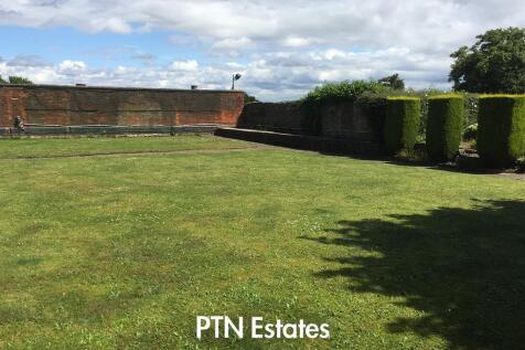 garden summer 2 .jpg