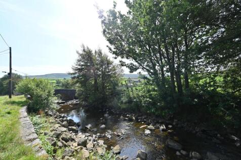 DSC_3190.JPG