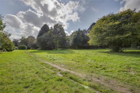 Rear Fields