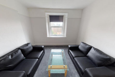 76-Colts-on-Street-0