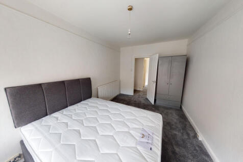 76-Colts-on-Street-0